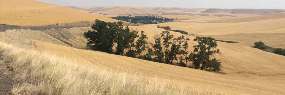 Pomeroy – Walla Walla